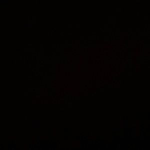 Meet your Posher, Bryan